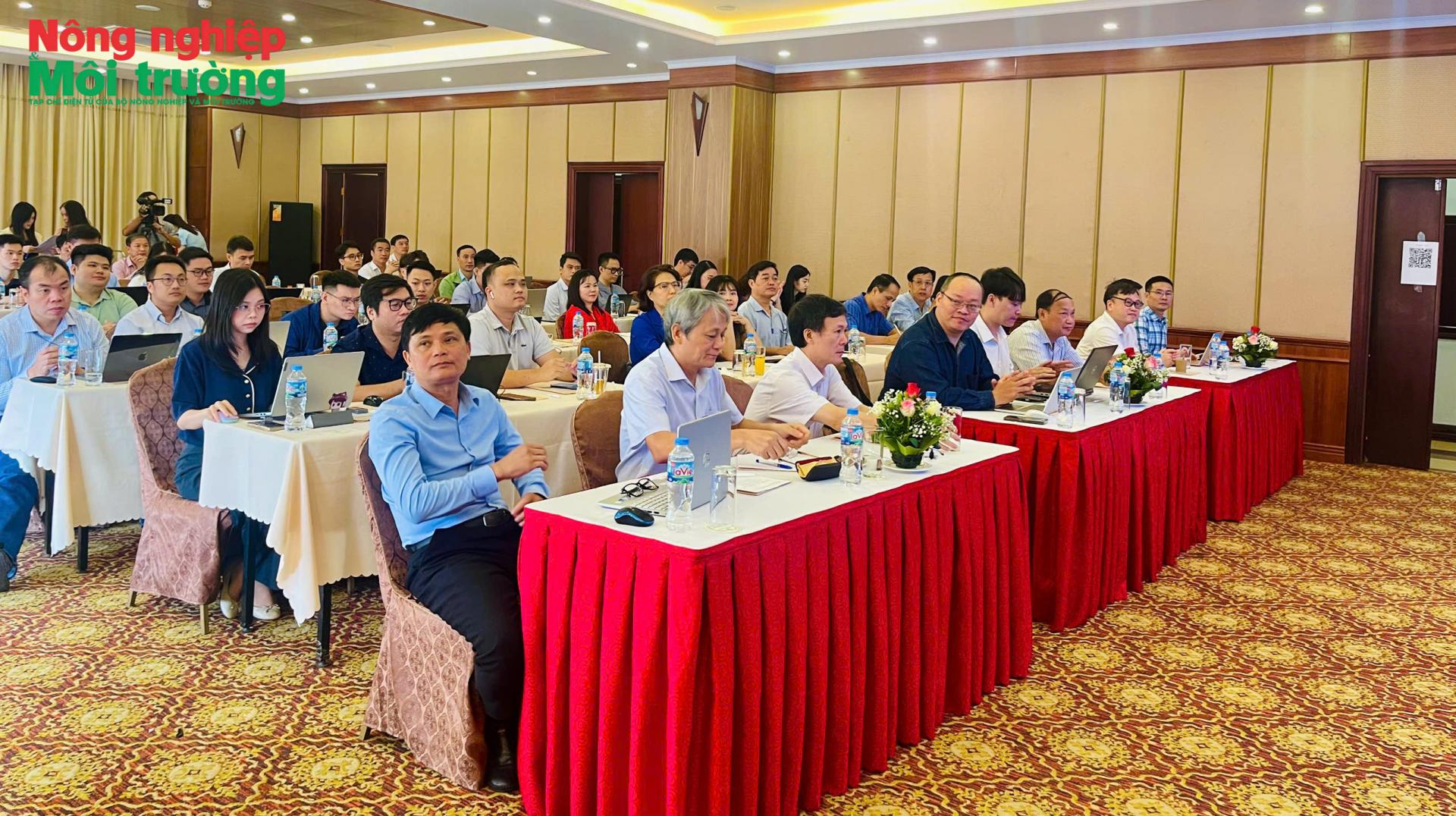 cds-qn1_1791518503.jpg