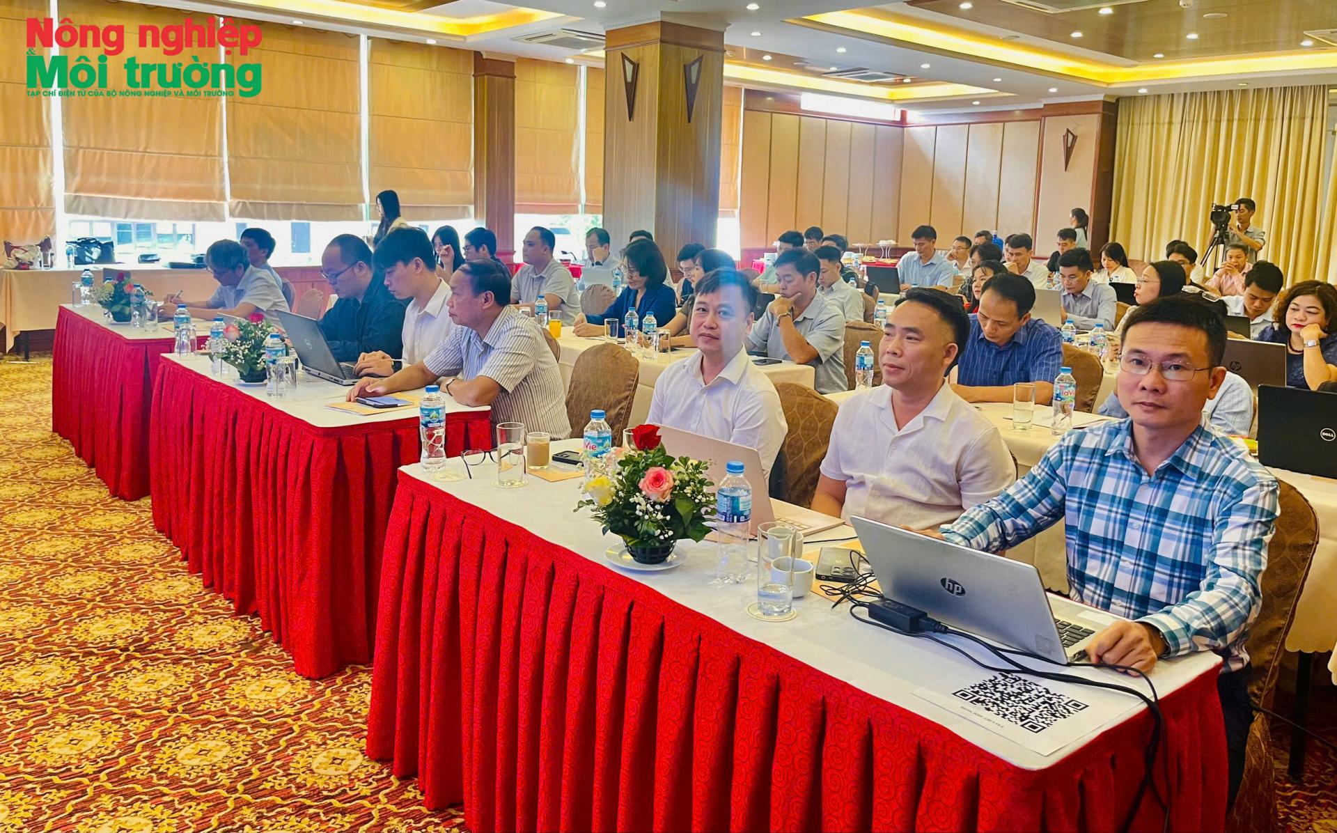 cds-qn_1791518502.jpg