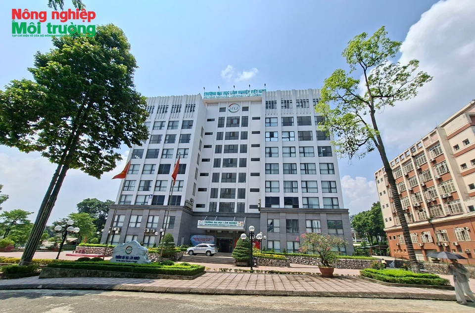 truong_1791553015.png