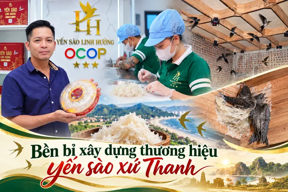 Bền bỉ xây dựng thương hiệu yến sào xứ Thanh