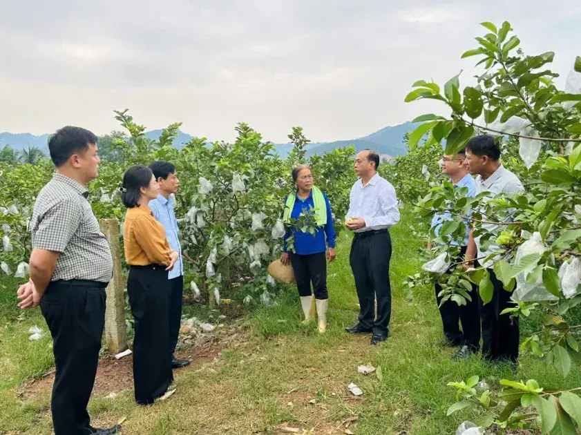 Hội Nông dân Thanh Hóa sôi nổi chào mừng ngày truyền thống