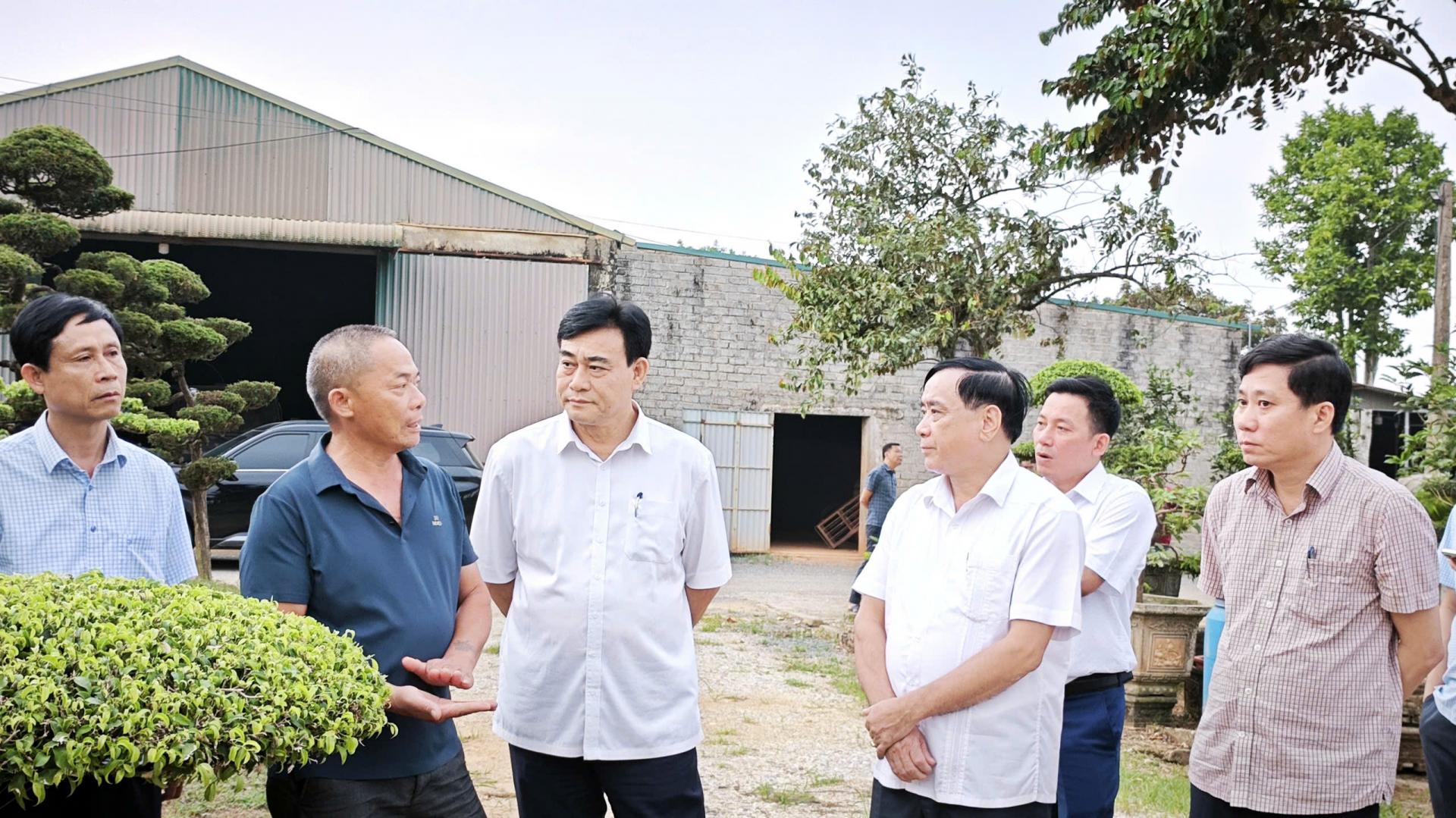 cay-canh-dinh-tan_1791714776.jpg