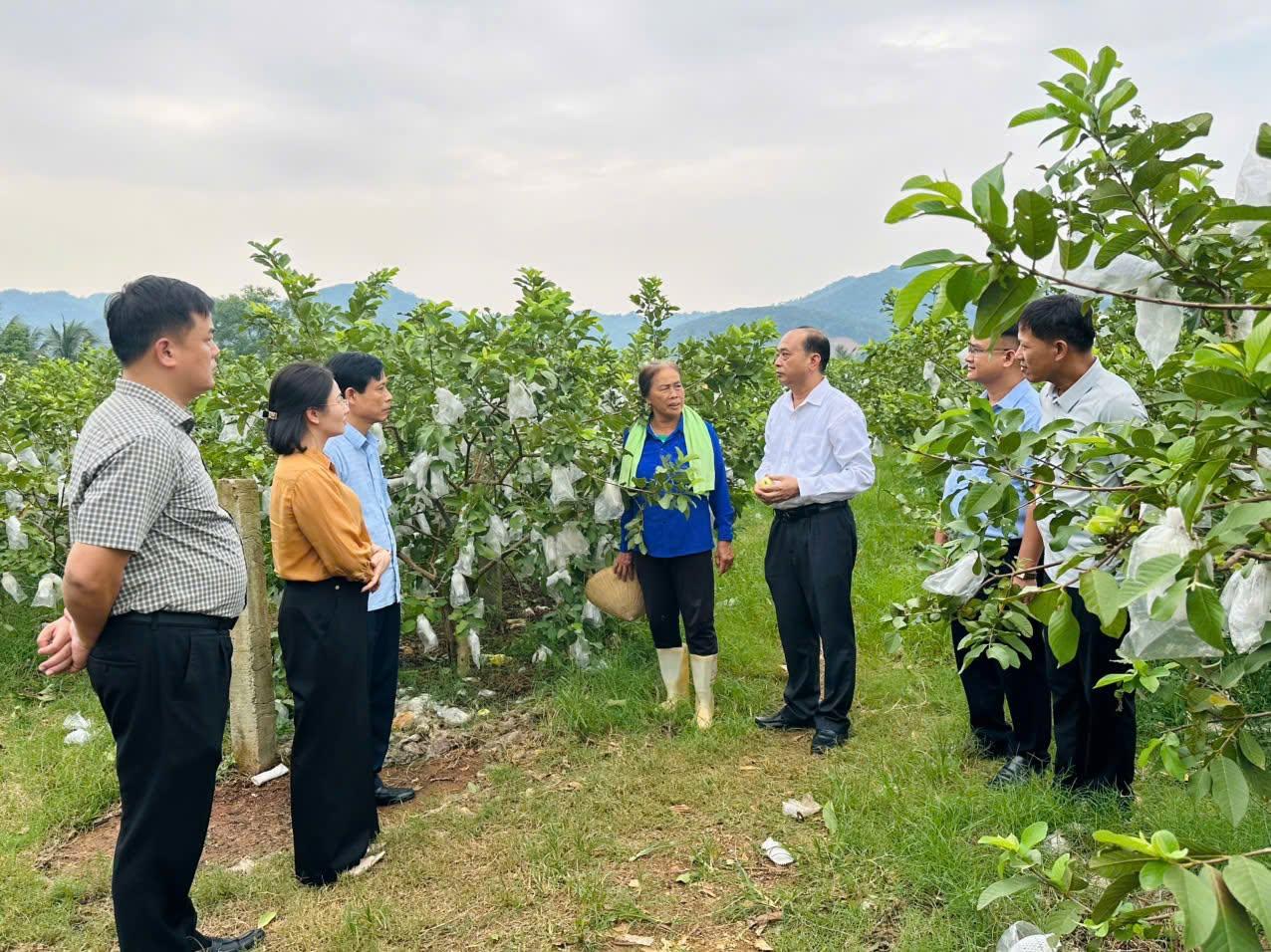 Hội Nông dân Thanh Hóa sôi nổi chào mừng ngày truyền thống