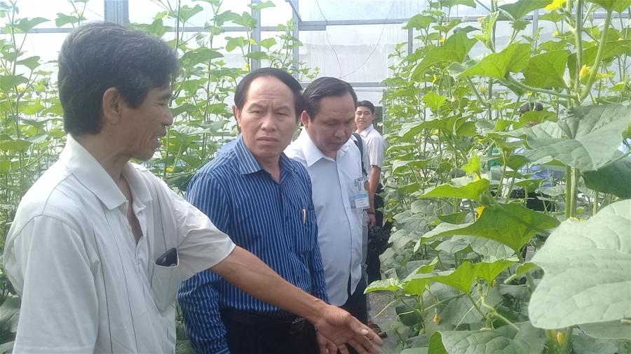 Xây dựng mô hình tiêu biểu về nông thôn mới ở Hậu Giang