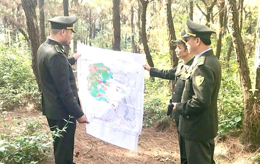 anh-2_1782923634.jpg