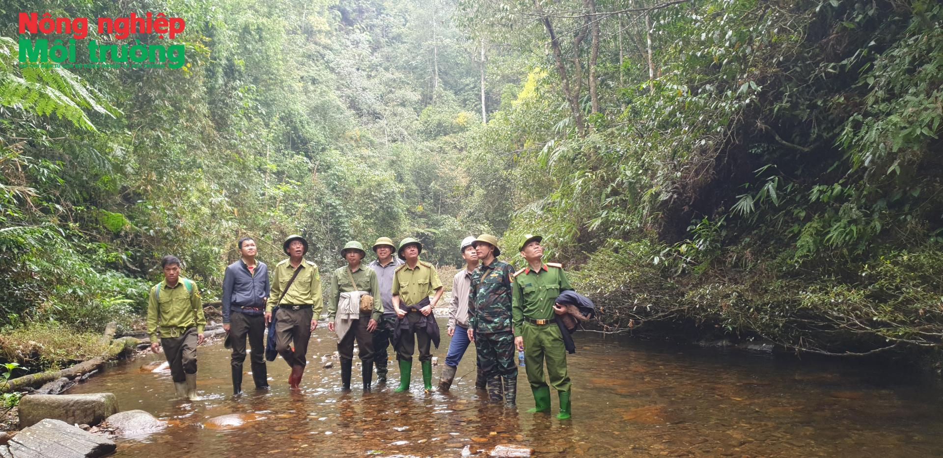 anh-1---tuan-tra-van-ban_1785598728.jpg