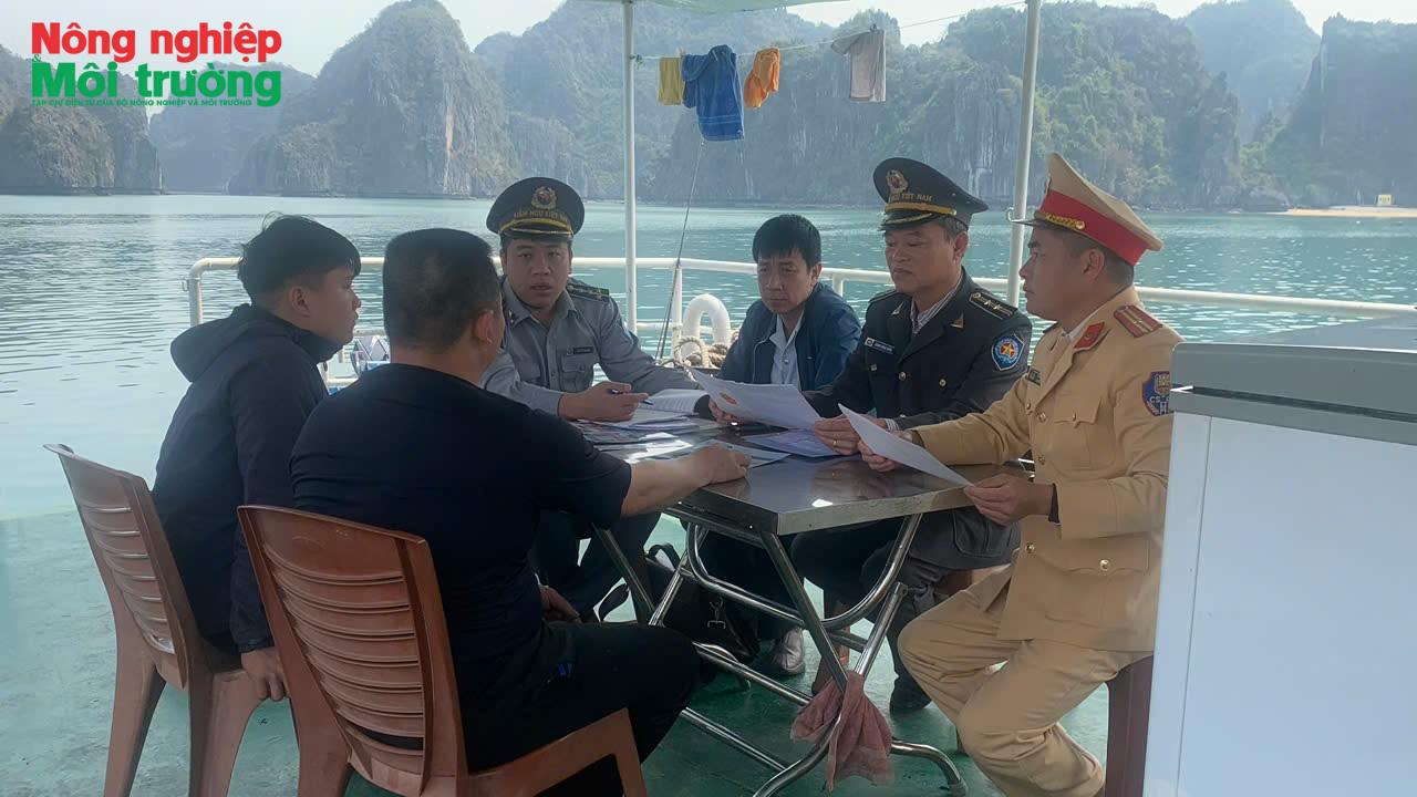 anh-3---quang-ninh_1785558361.jpg