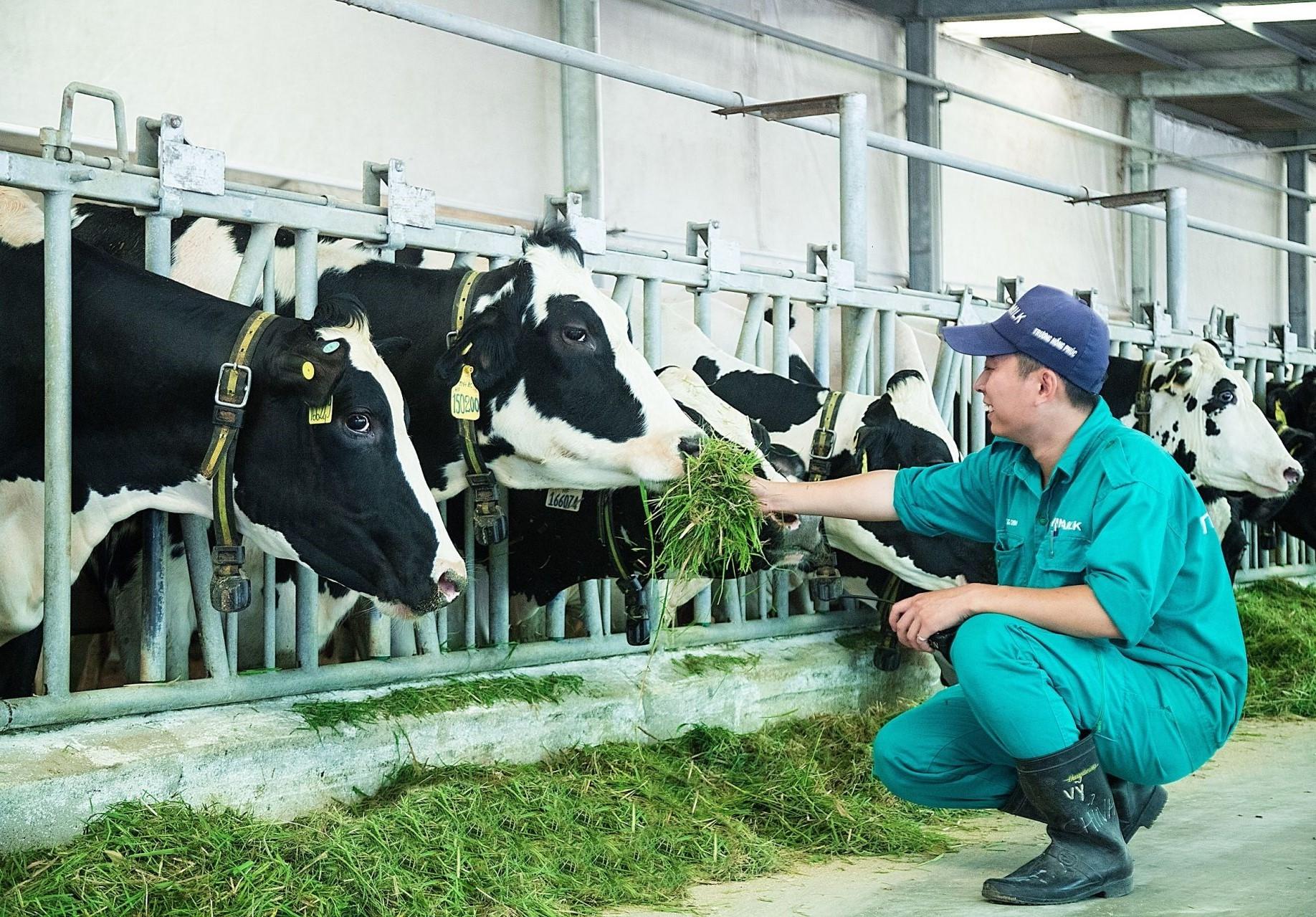 Đồng Nai: Phát triển chăn nuôi xanh, an toàn để tăng giá trị