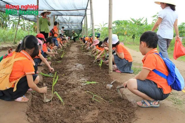 Hà Nội khai thác tiềm năng phát triển du lịch gắn với xây dựng nông thôn mới