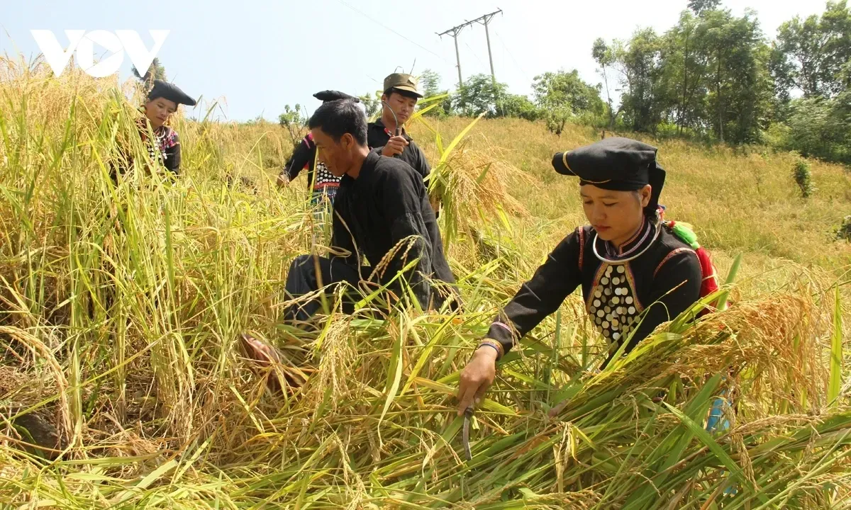 Hướng tới giai đoạn 2026 - 2030: Chuyển đổi đột phá trong giảm nghèo bền vững