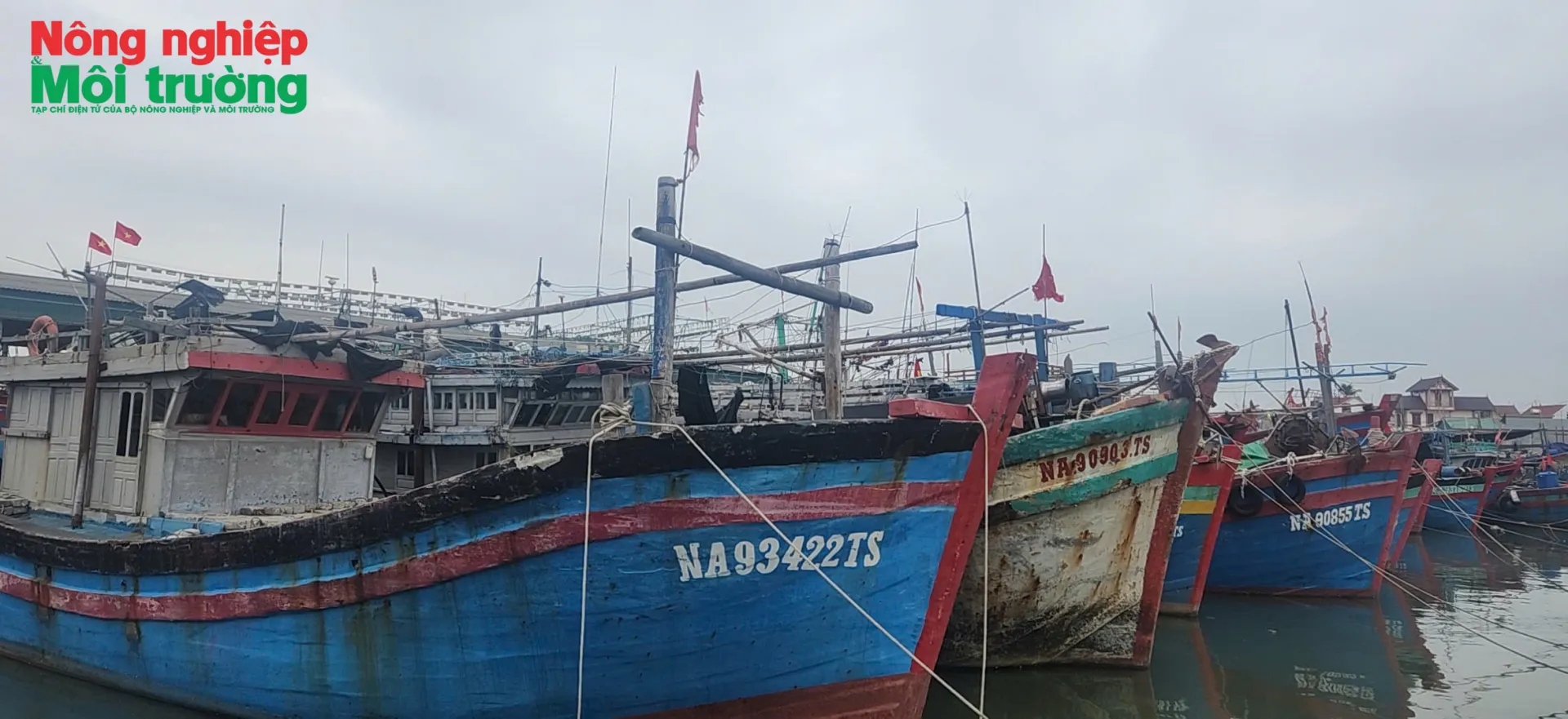 Nghệ An thực hiện nhiệm vụ cấp bách chống khai thác IUU