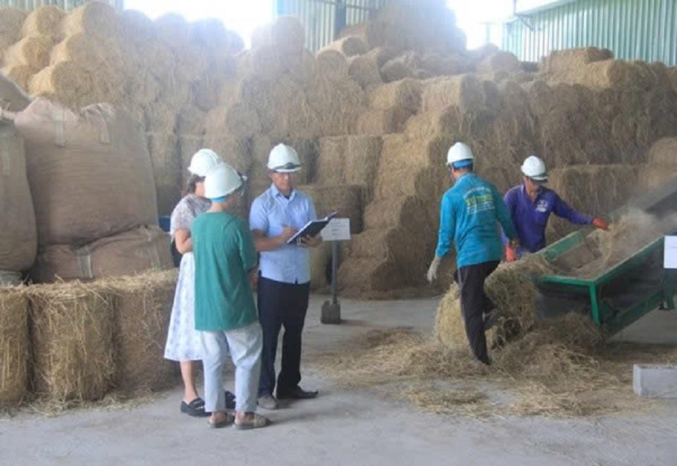 Viên nén sinh khối từ rơm rạ: Giải pháp kinh tế tuần hoàn cho nông nghiệp bền vững