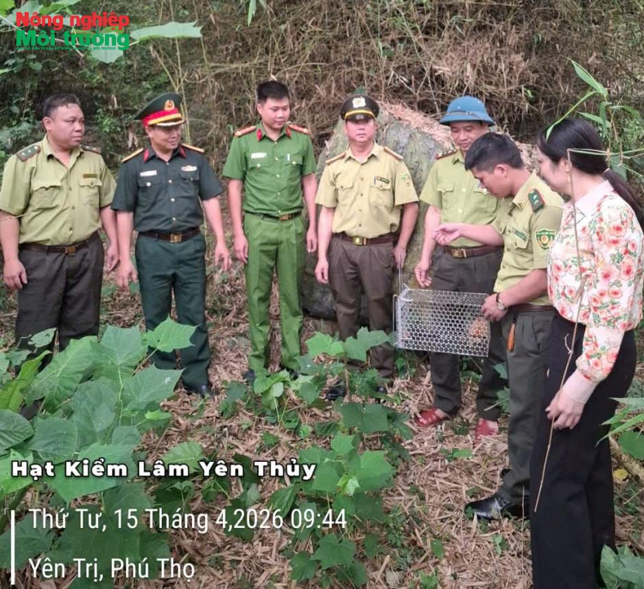 anh-2---bay-yen-thuy_1785685720.jpg