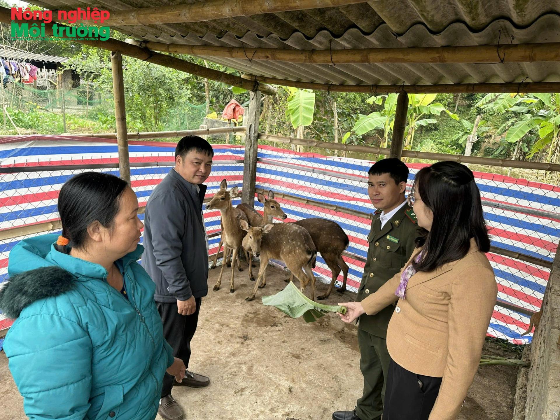 anh-3--ql-thu-nuoi_1785685721.jpg