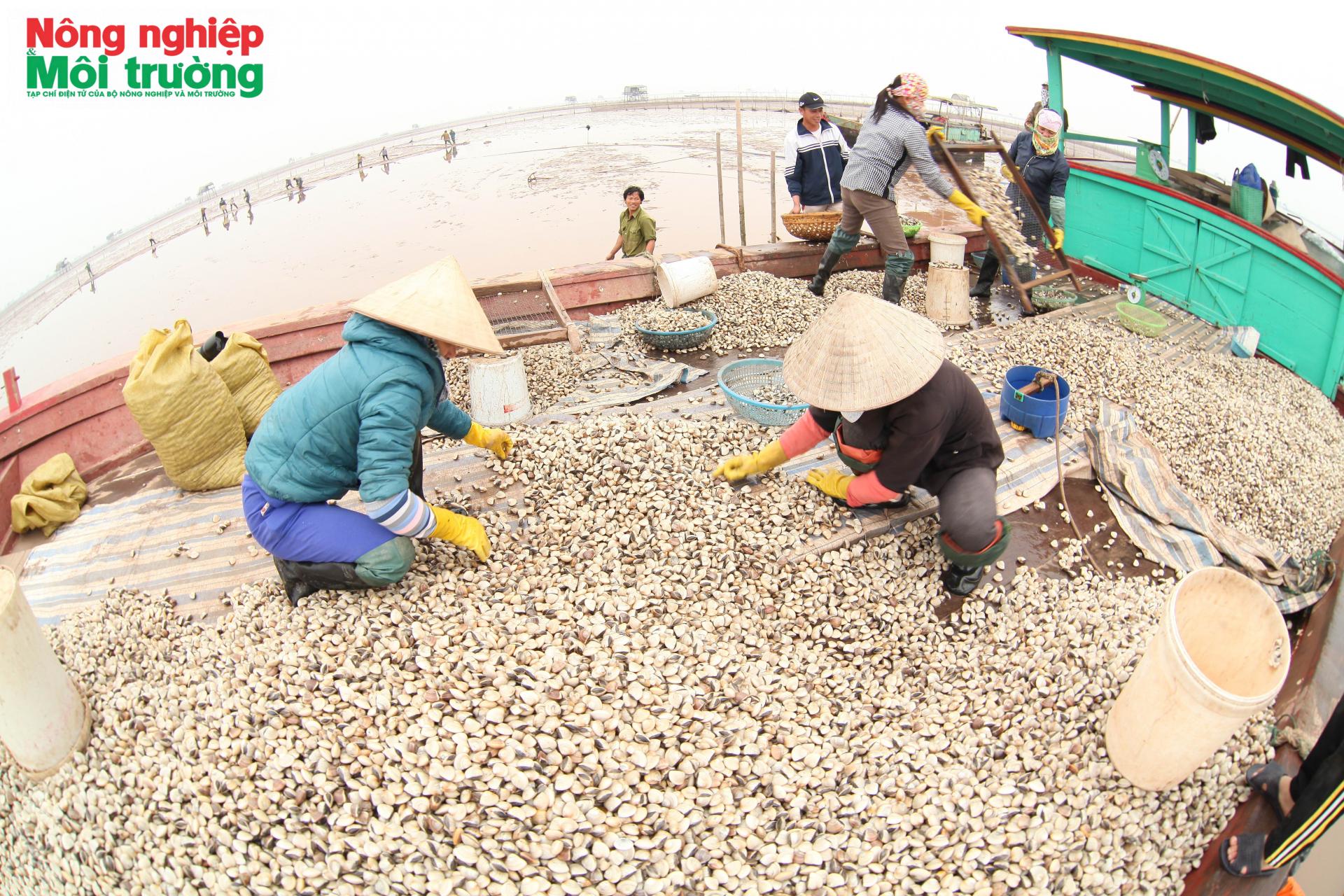 anh-4-thu-khoach-ngao-tai-vuon-quoc-gia-xuan-thuy_1785643261.jpg