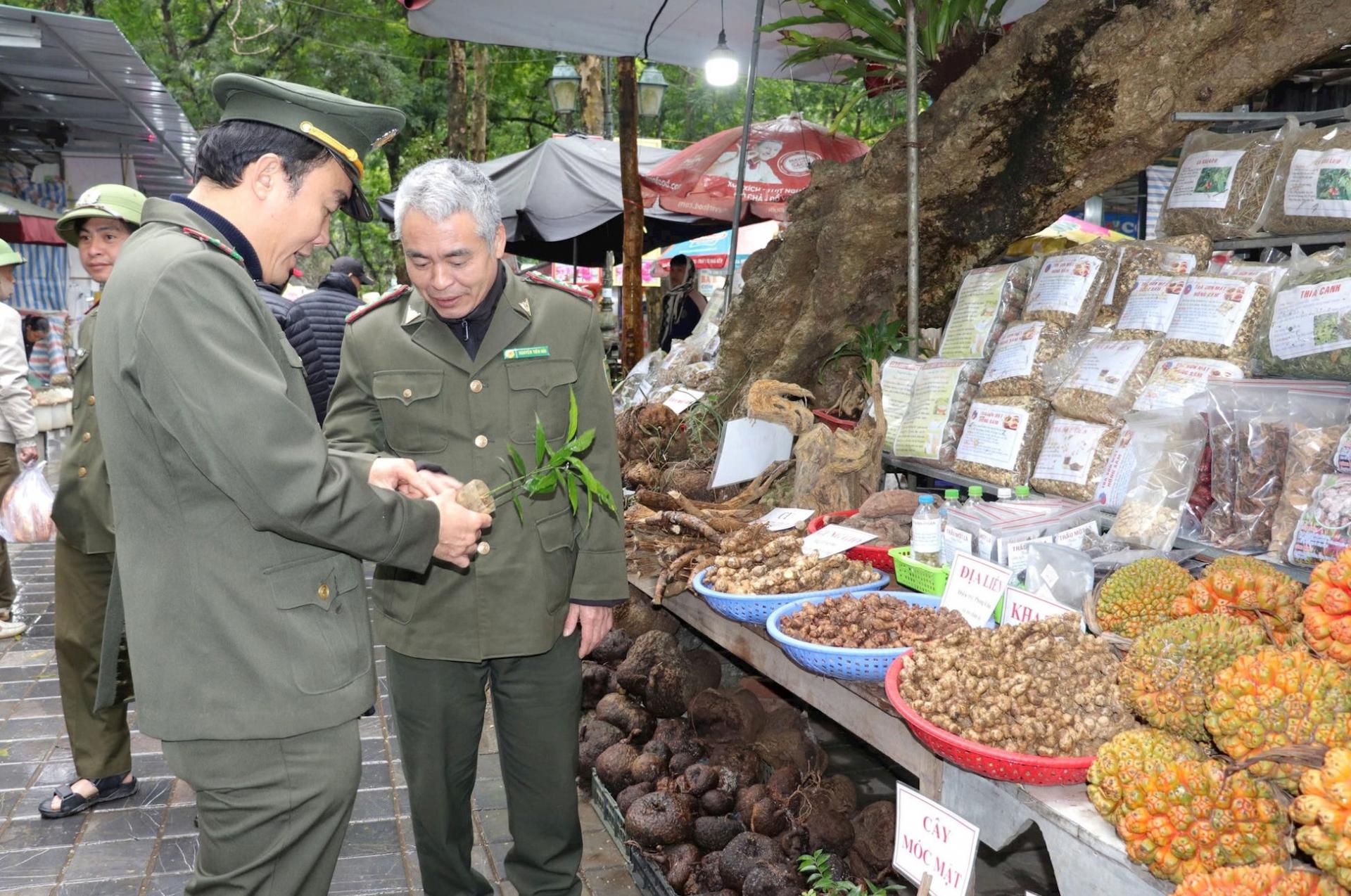 anh-3---kiem-tra-co-so-giong-1_1788321123.jpg