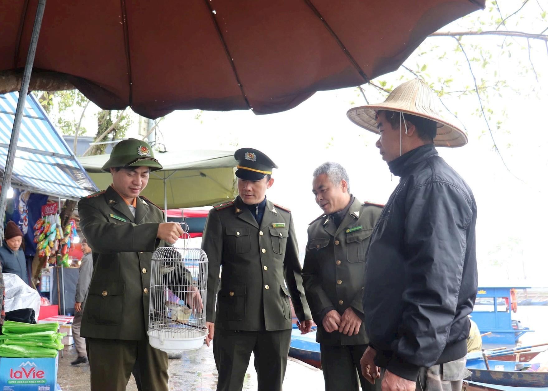 anh-4---kiem-tra-chim-1_1788321123.jpg