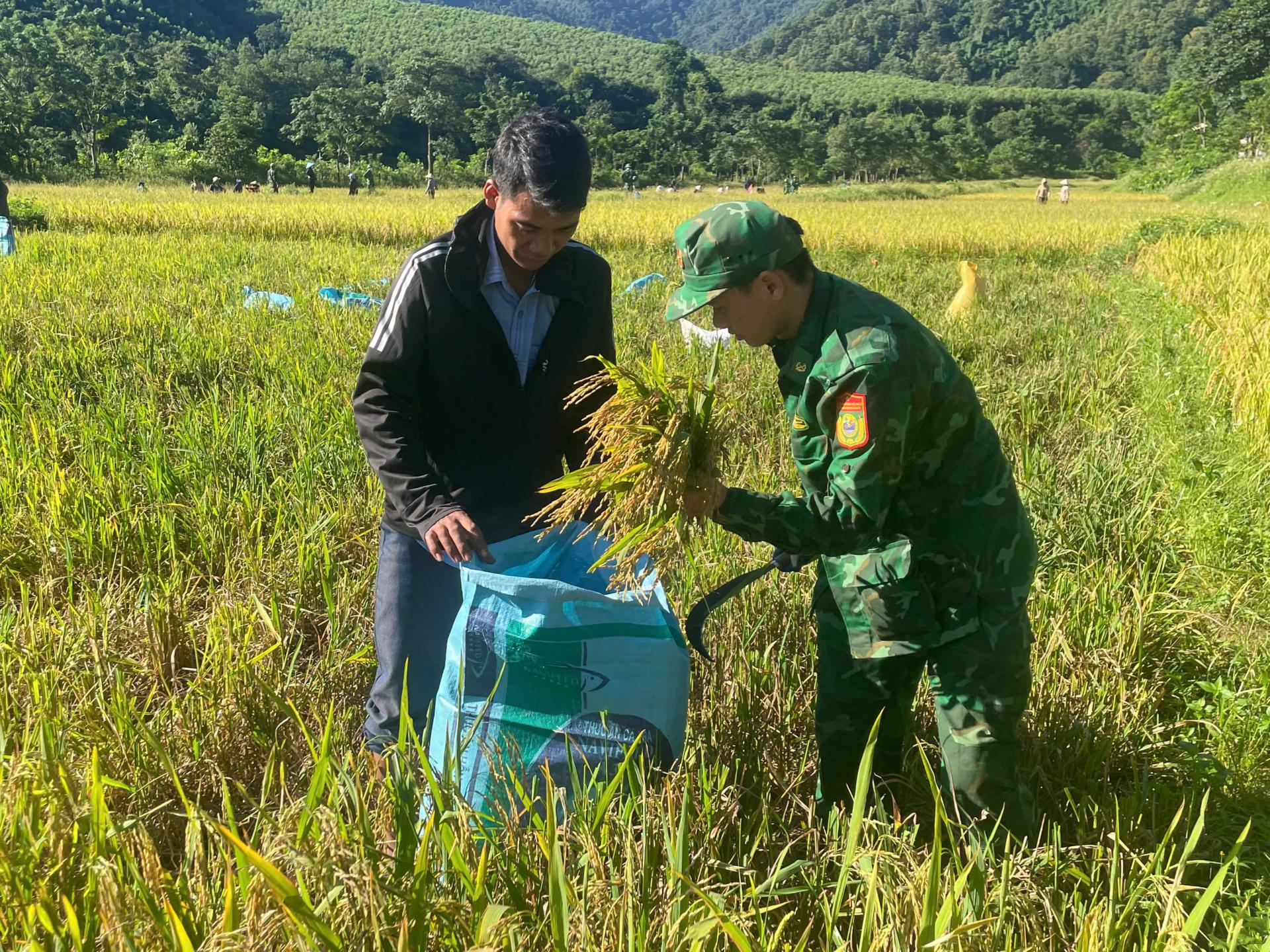 anh-1-2_1790931263.jpg