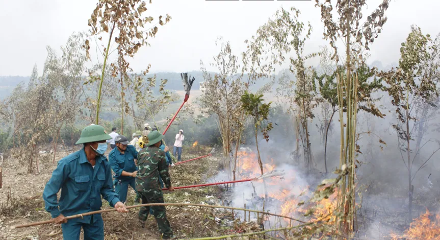 Bài 5: Giữ rừng Tam Đảo - Tam Dương: Gian nan nhưng quyết tâm không lùi bước