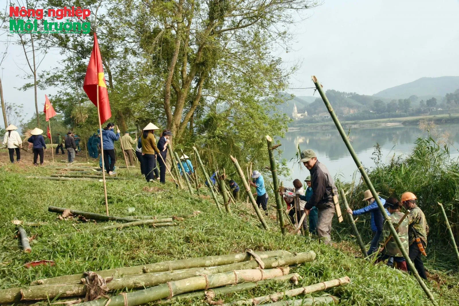 Trồng tre chắn lũ, giữ làng ứng phó biến đổi khí hậu