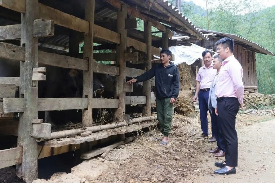 Cao Bằng: Phát huy hiệu quả tín dụng chính sách vì mục tiêu giảm nghèo bền vững