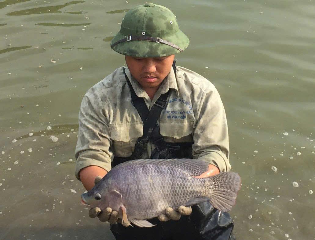 Hà Nội: Bảo vệ môi trường trong nuôi thủy sản