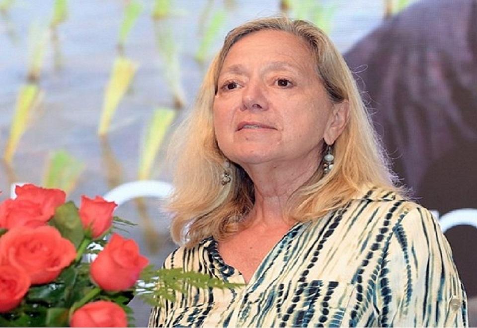 Tương lai ngành lúa gạo Việt Nam - Hướng tới mô hình sản xuất bền vững