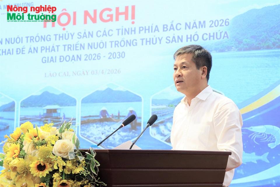 Lào Cai phát huy tiềm năng hồ chứa, tạo đột phá phát triển nuôi trồng thủy sản bền vững