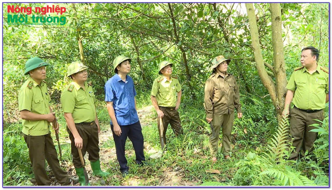 anh-2---kiem-tra-hien-trang-rung_1777801666.jpg