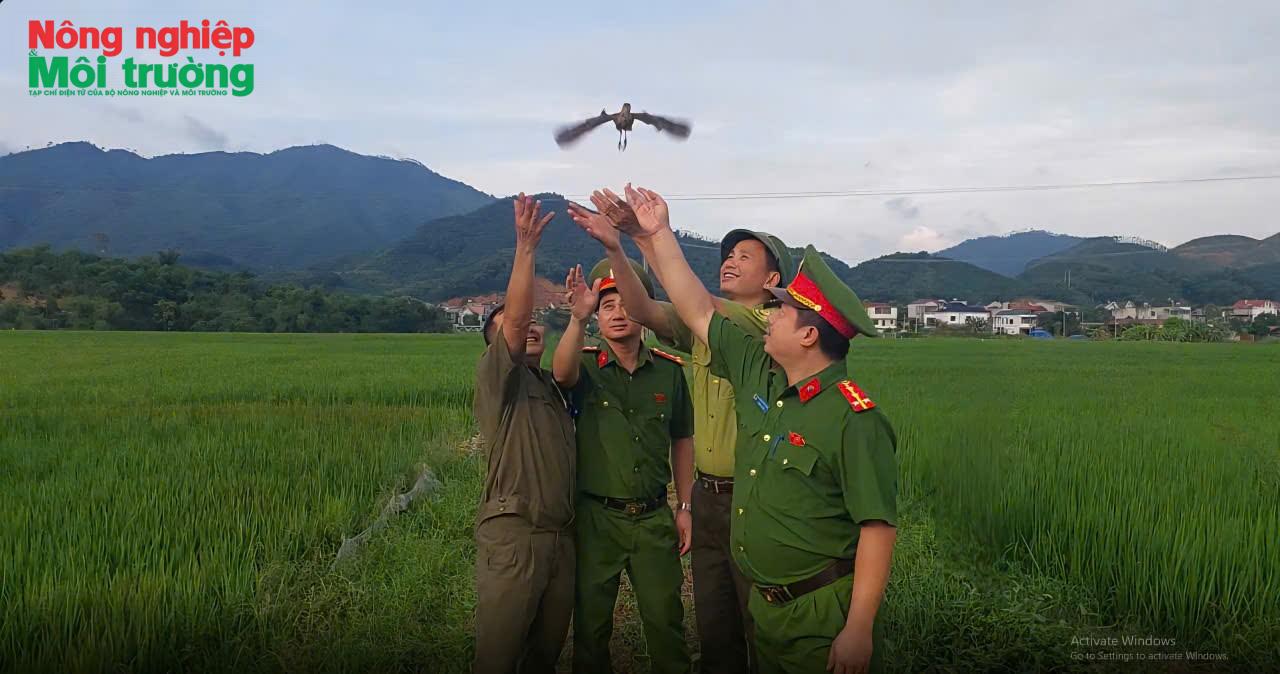 anh-4---tha-chim-hoang-da_1777801667.jpg