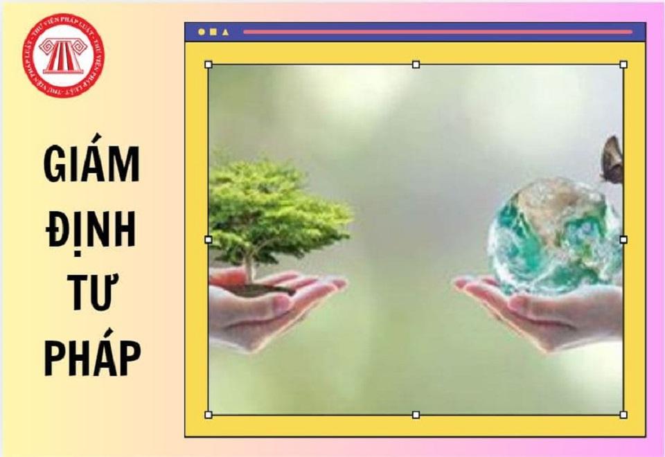 tu_phap_1777820008.jpg