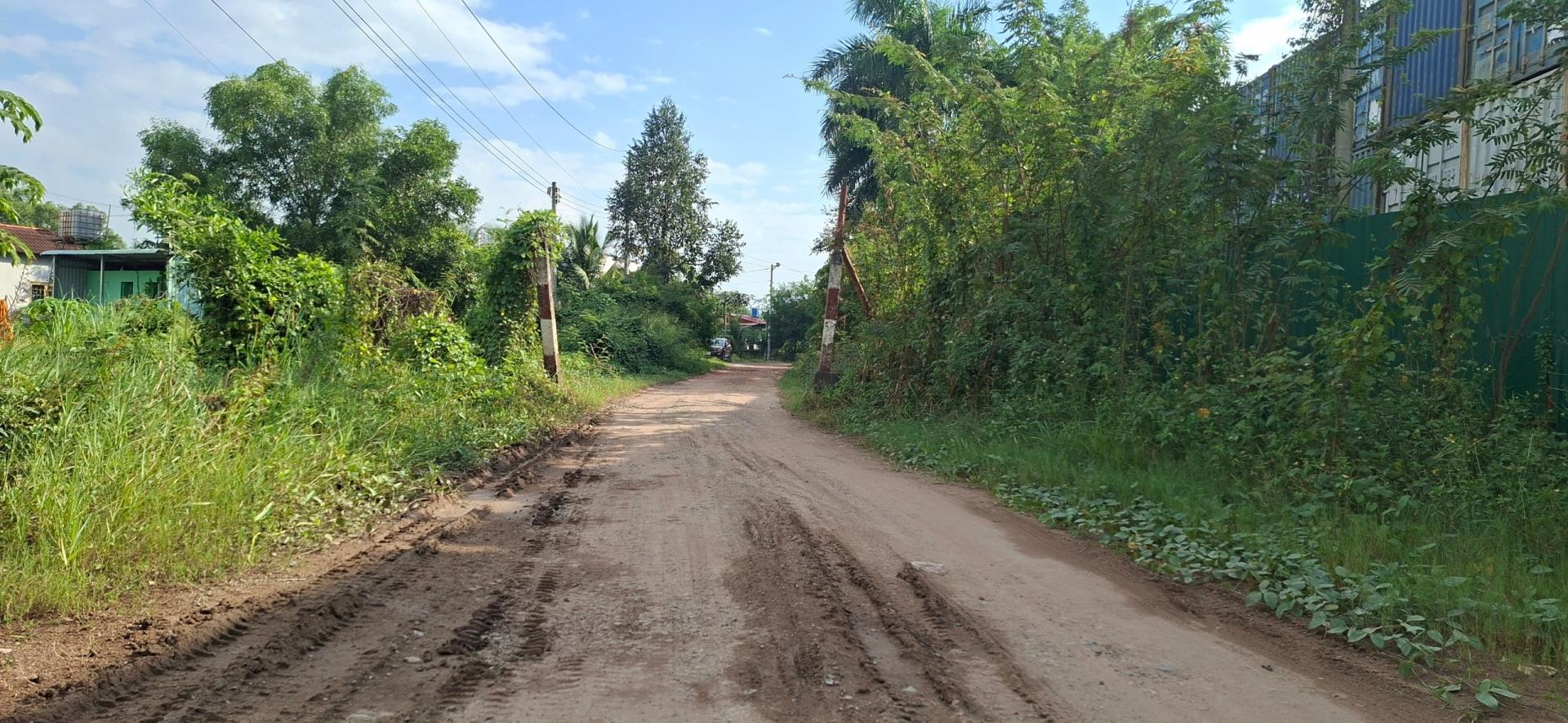 TP. Hồ Chí Minh: Doanh nghiệp muốn tự bỏ kinh phí nâng cấp đê bao Tân An