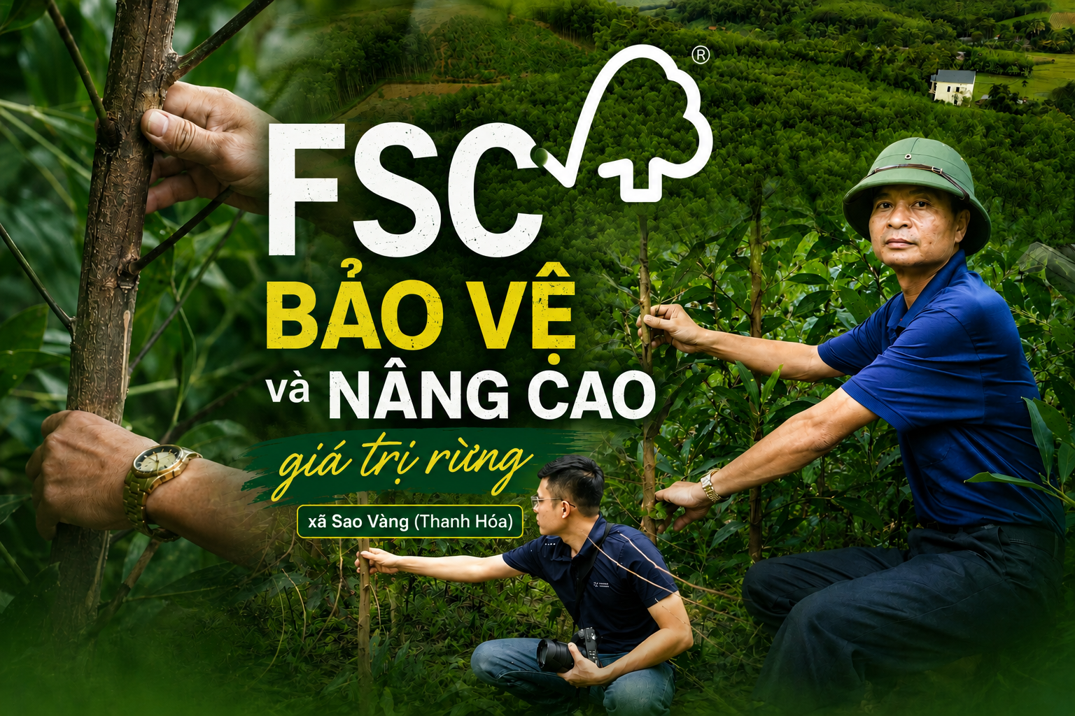 Gom những cánh rừng, “xây” vùng nguyên liệu FSC