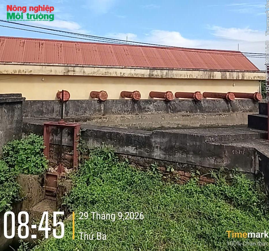 anh-1--tb-tieu-dam-quang-1_1791020421.jpg
