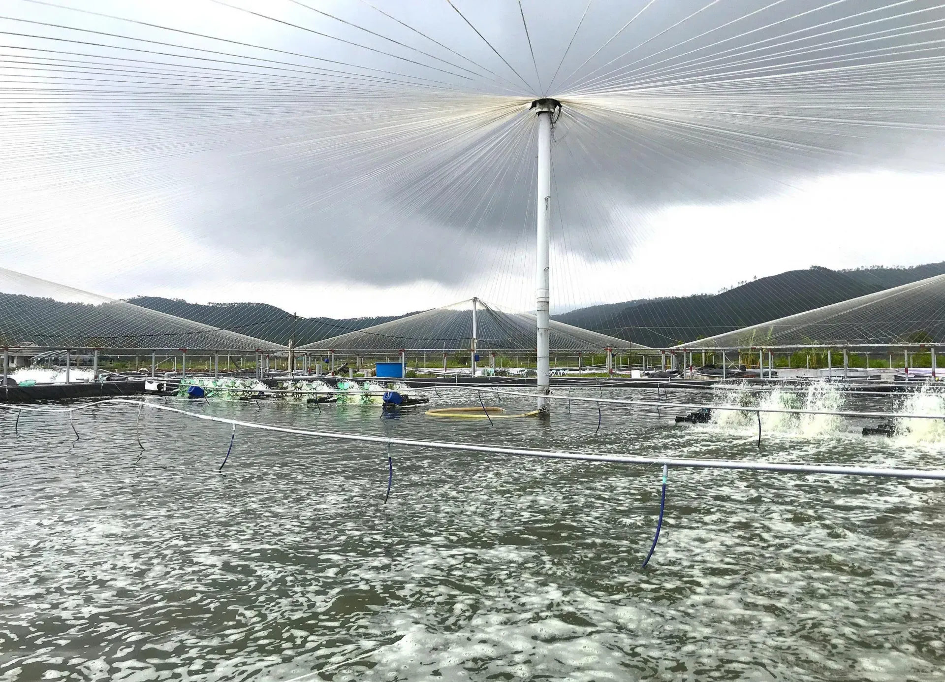 Người nuôi tôm ở Nghệ An “sống mòn” với ao đầm