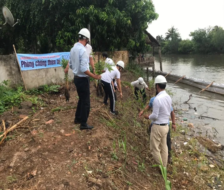 Tiên phong tìm giải pháp “thuận thiên” bảo vệ bờ sông, bờ biển vùng ĐBSCL