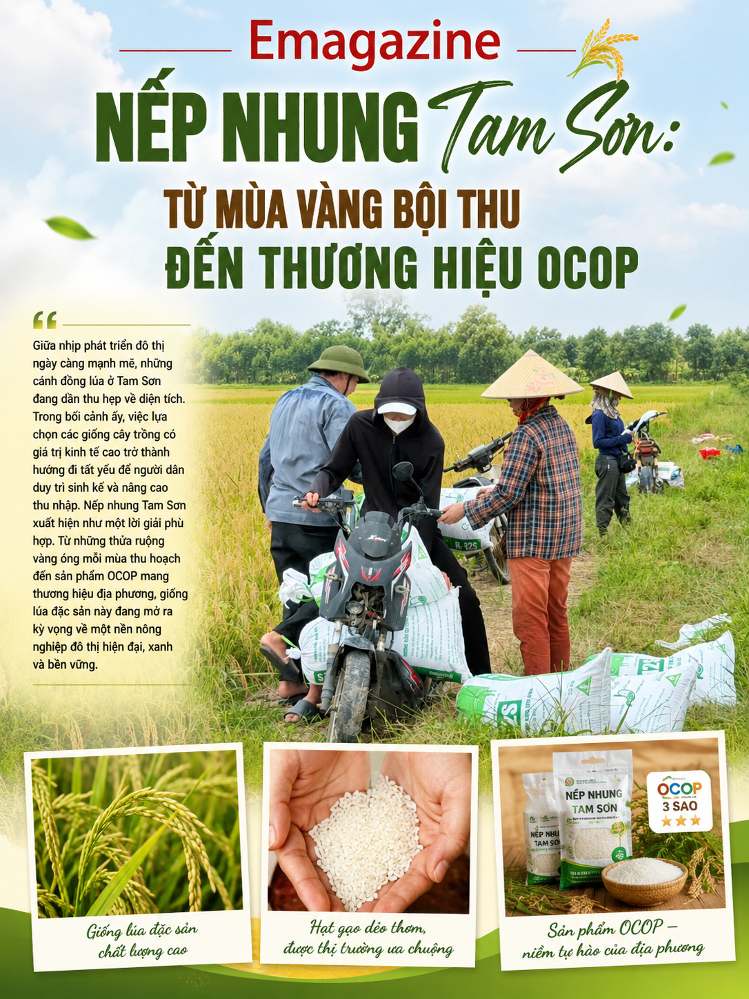 bai-tam-son-1_1780538643.png