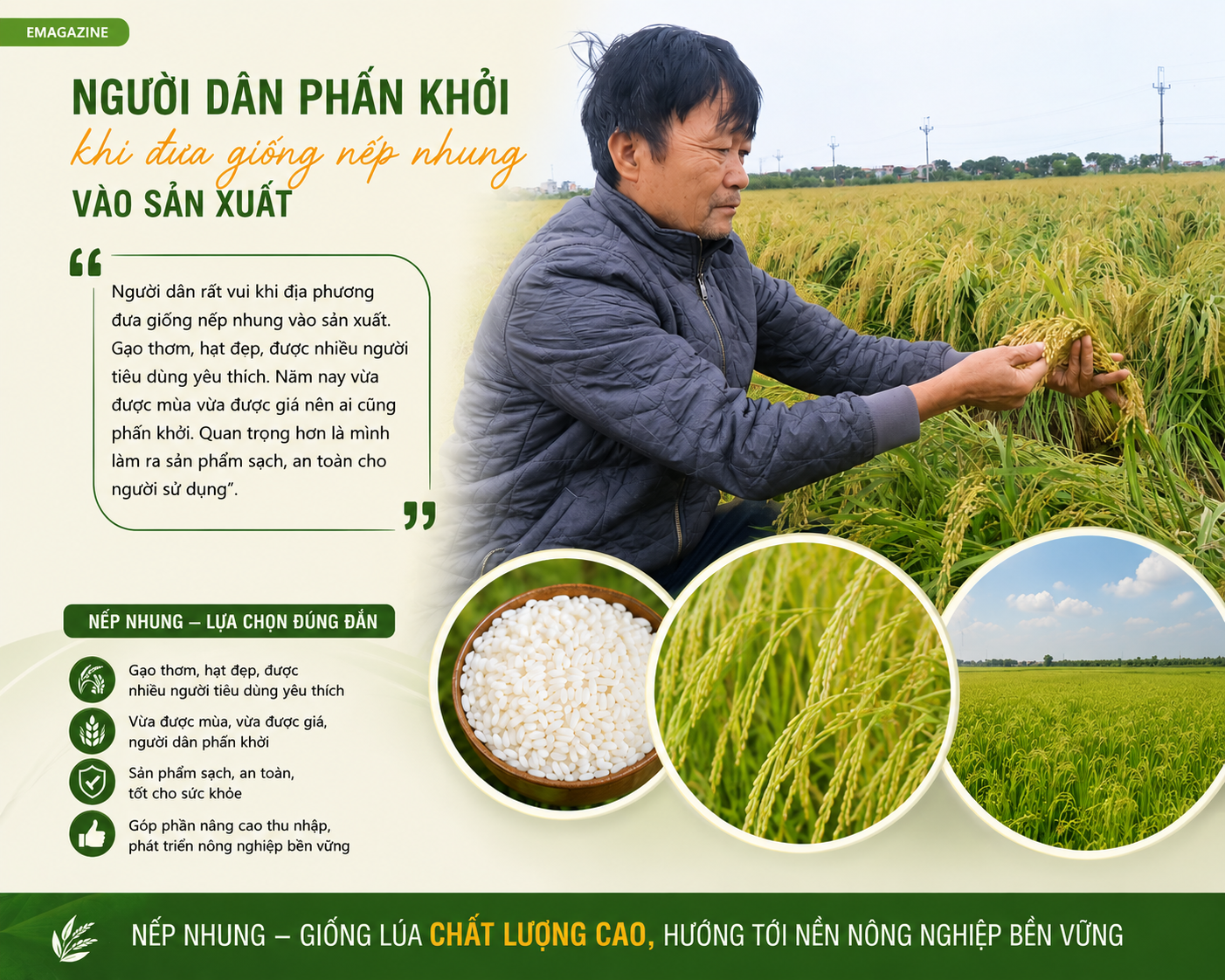 bai-tam-son-4_1780539221.png