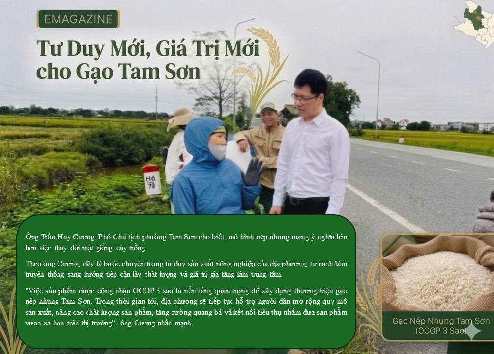 bai-tam-son_1780543288.jpg