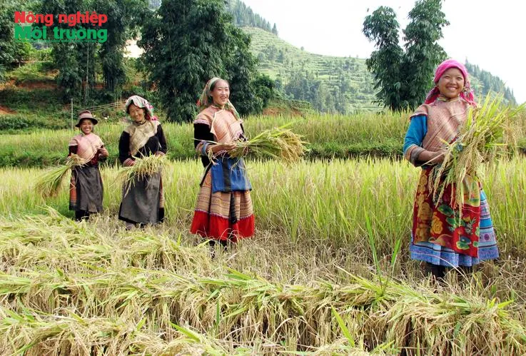 Thoát nghèo nhờ phát triển nông nghiệp theo chuỗi giá trị tại xã Mường Khương, tỉnh Lào Cai