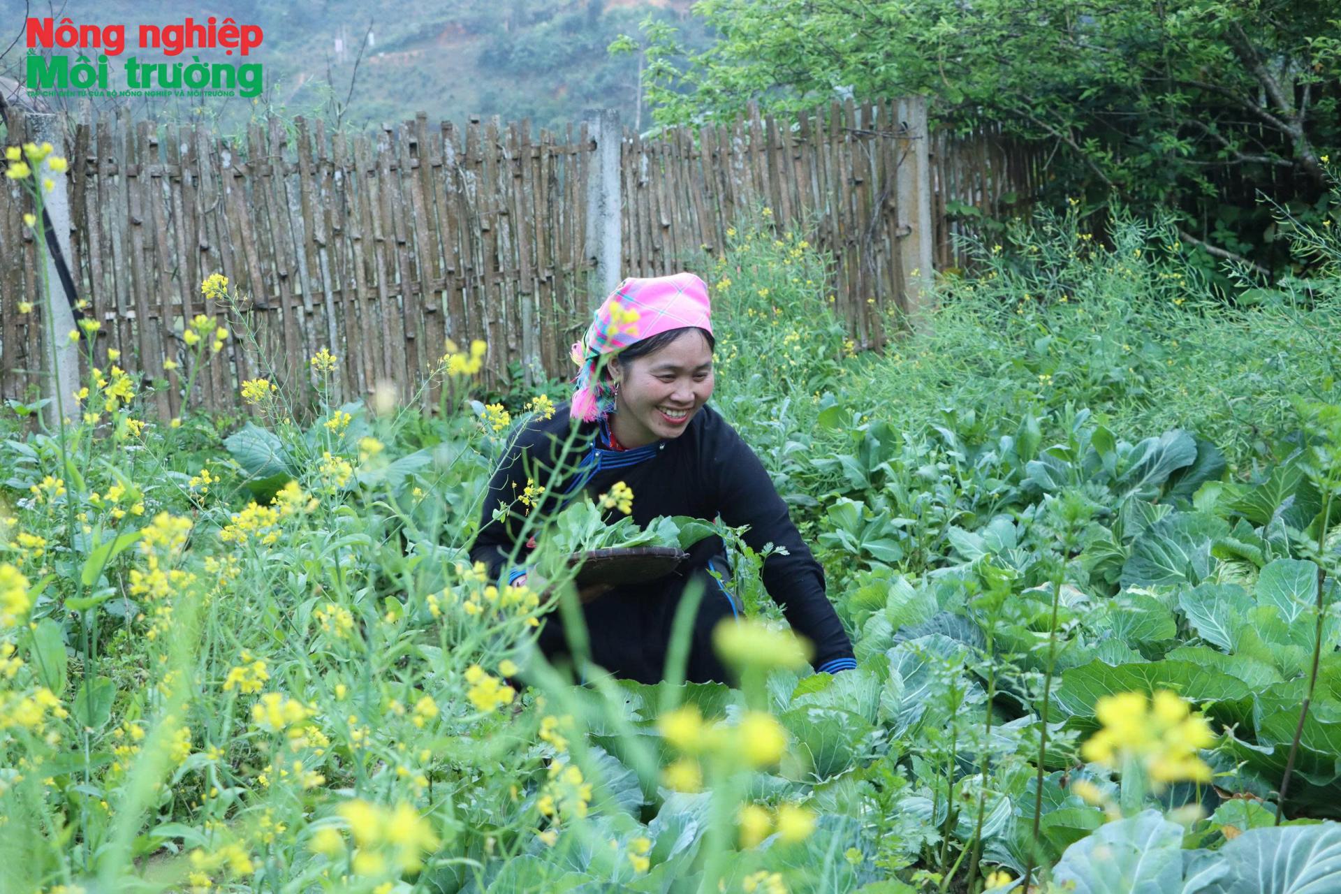 Bản Liền: Nơi du lịch nông nghiệp đánh thức miền sơn cước