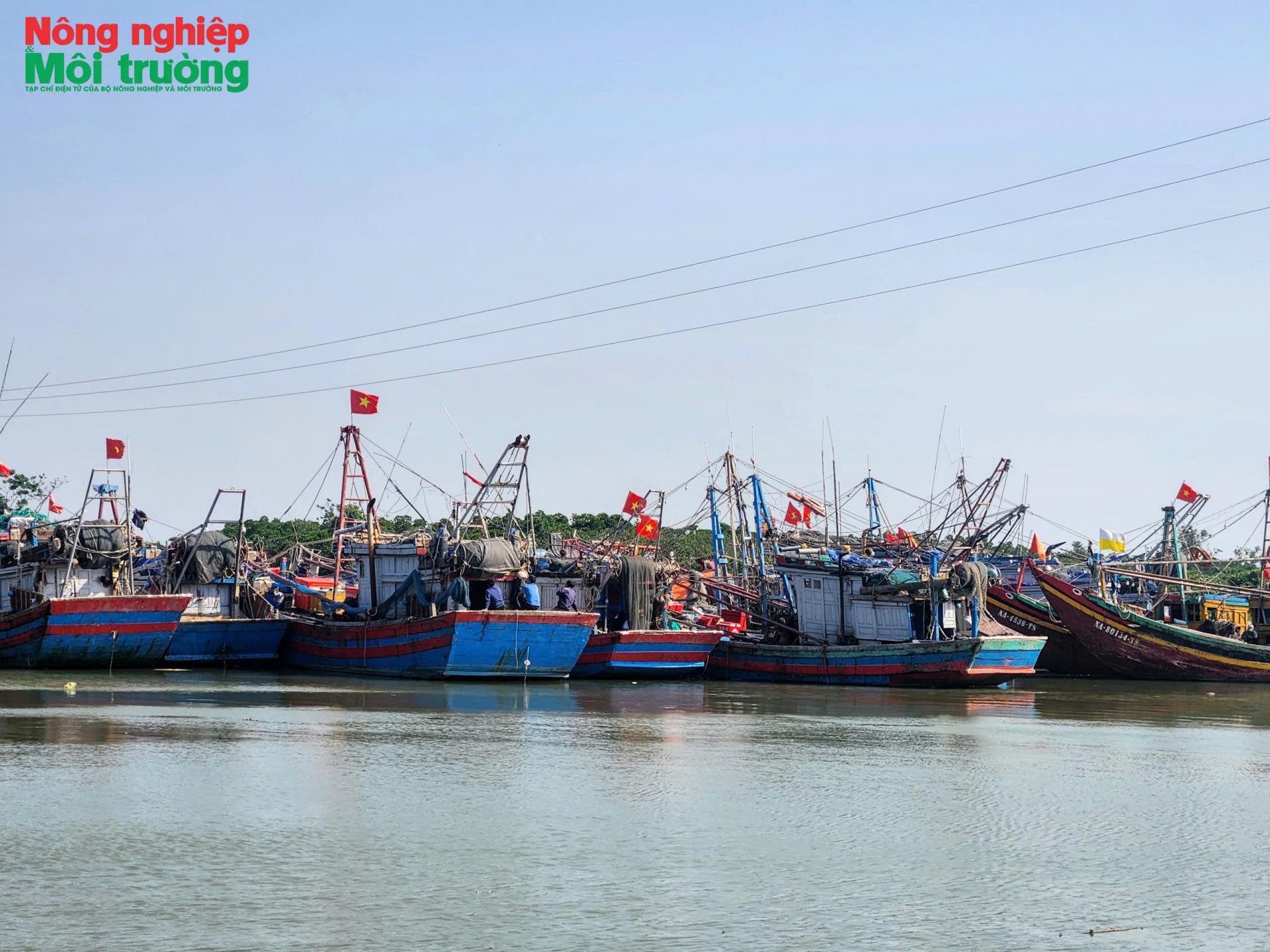 Đón đoàn thanh tra EC lần thứ 5: Nghệ An đặt mục tiêu không để xảy ra sai sót