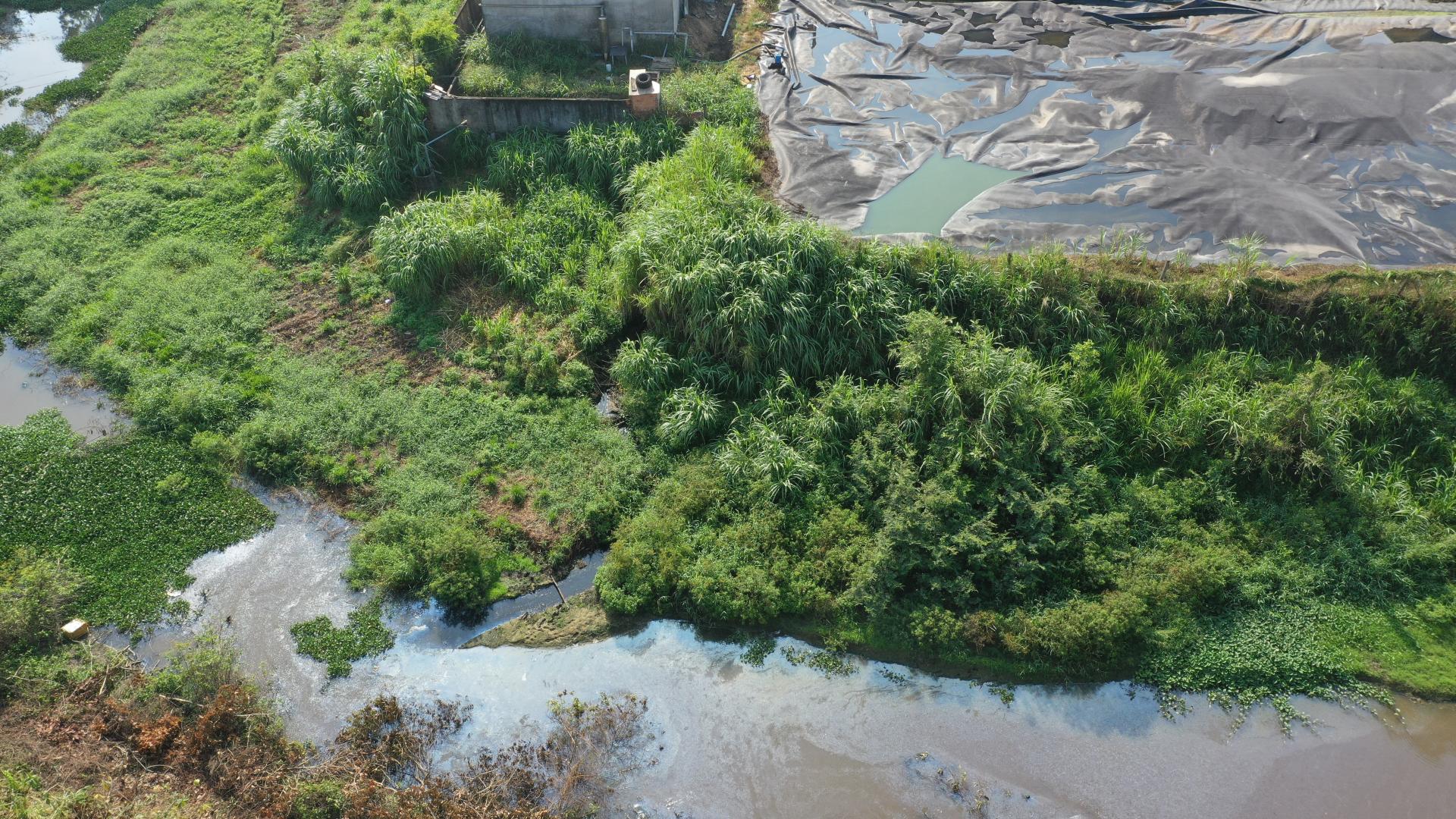dji_0702_1777946827.jpg