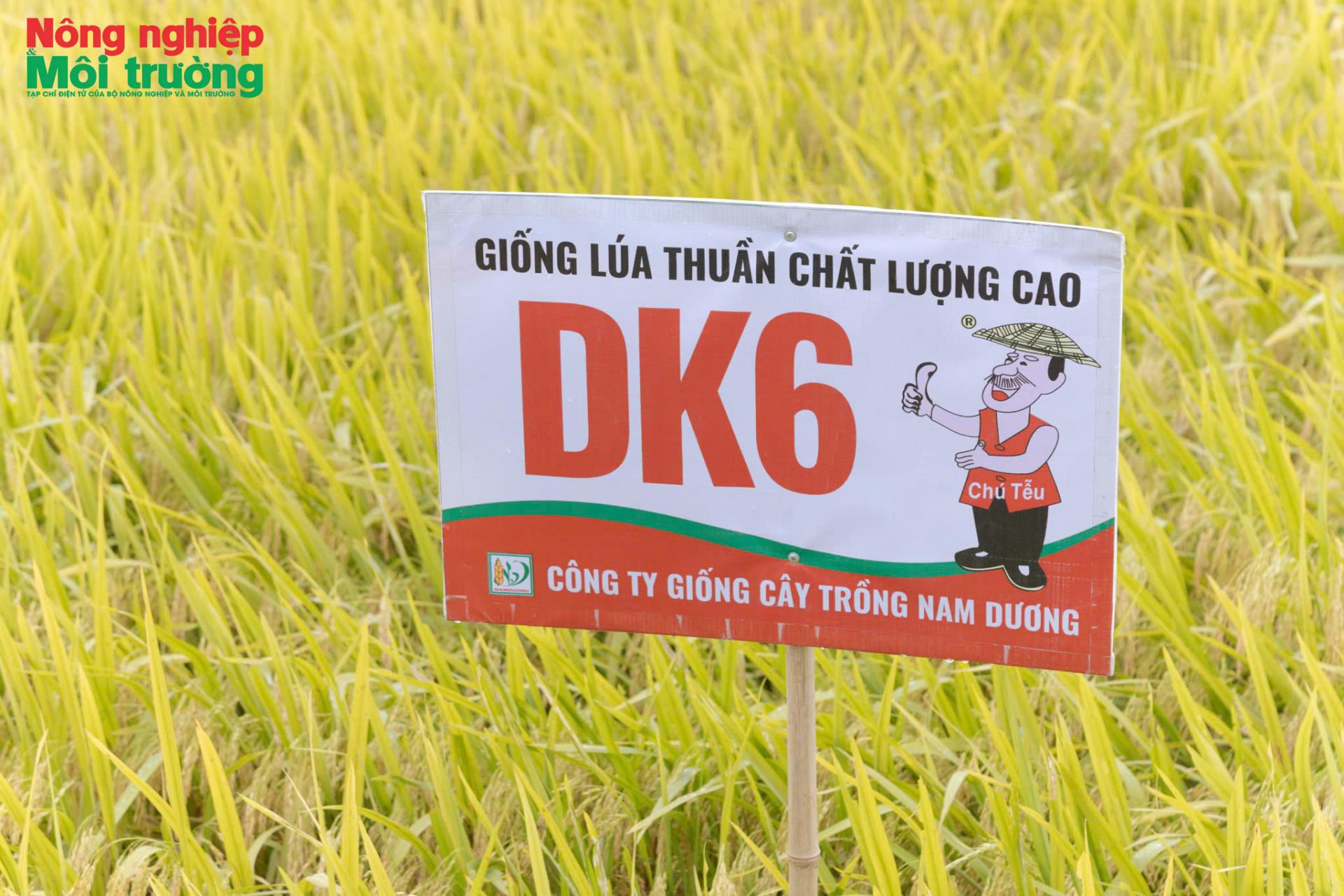 dk6-lua5_1777945257.jpg