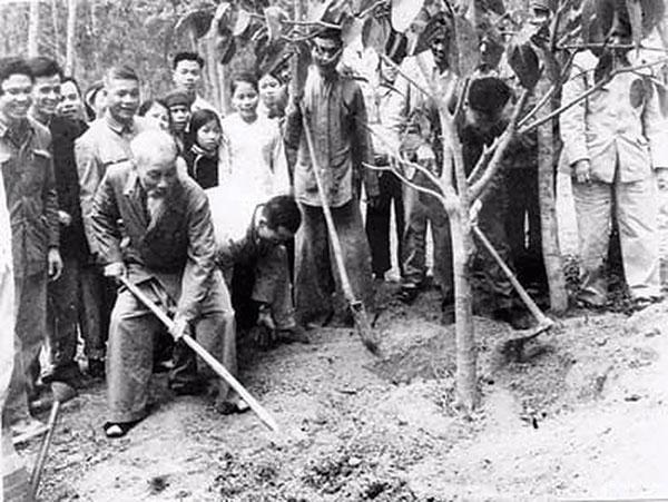 Ngày môi trường thế giới và ngày Bác Hồ ra đi tìm đường cứu nước – Hai sự kiện chung một khát vọng xanh