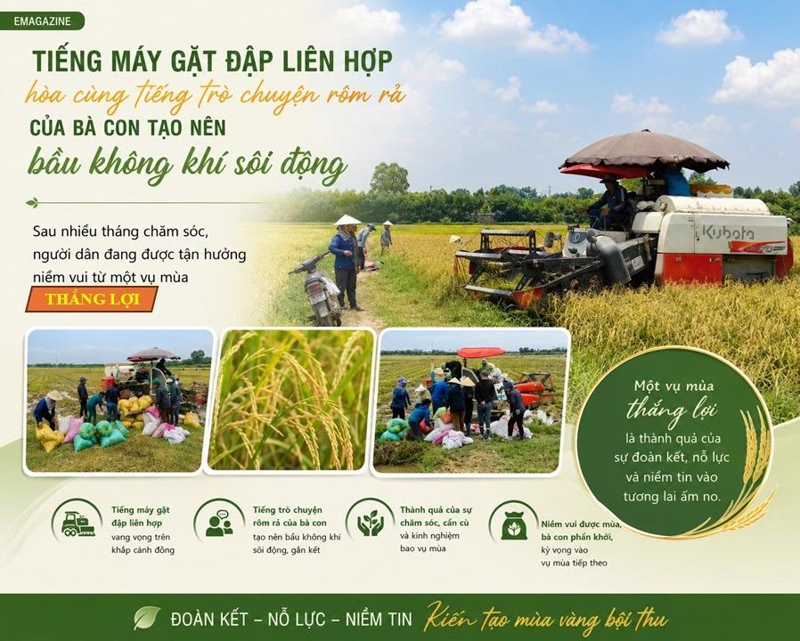 bai-tam-son-9_1780620937.jpg
