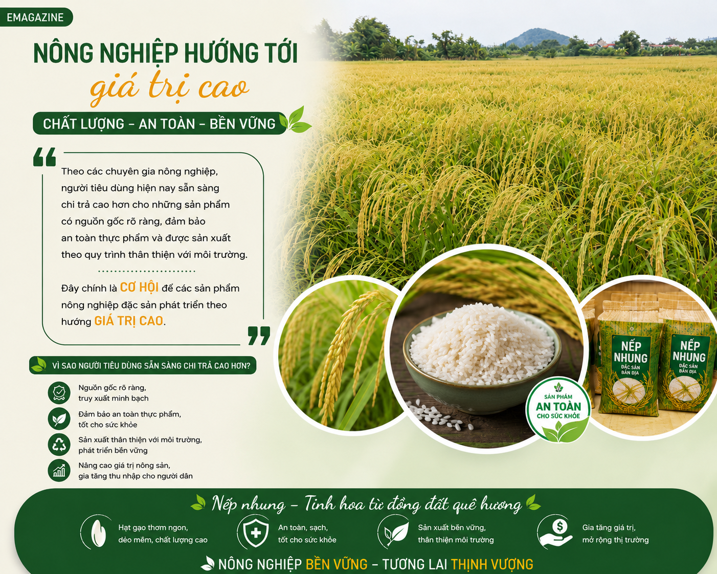 nep-nhung_1780644780.png