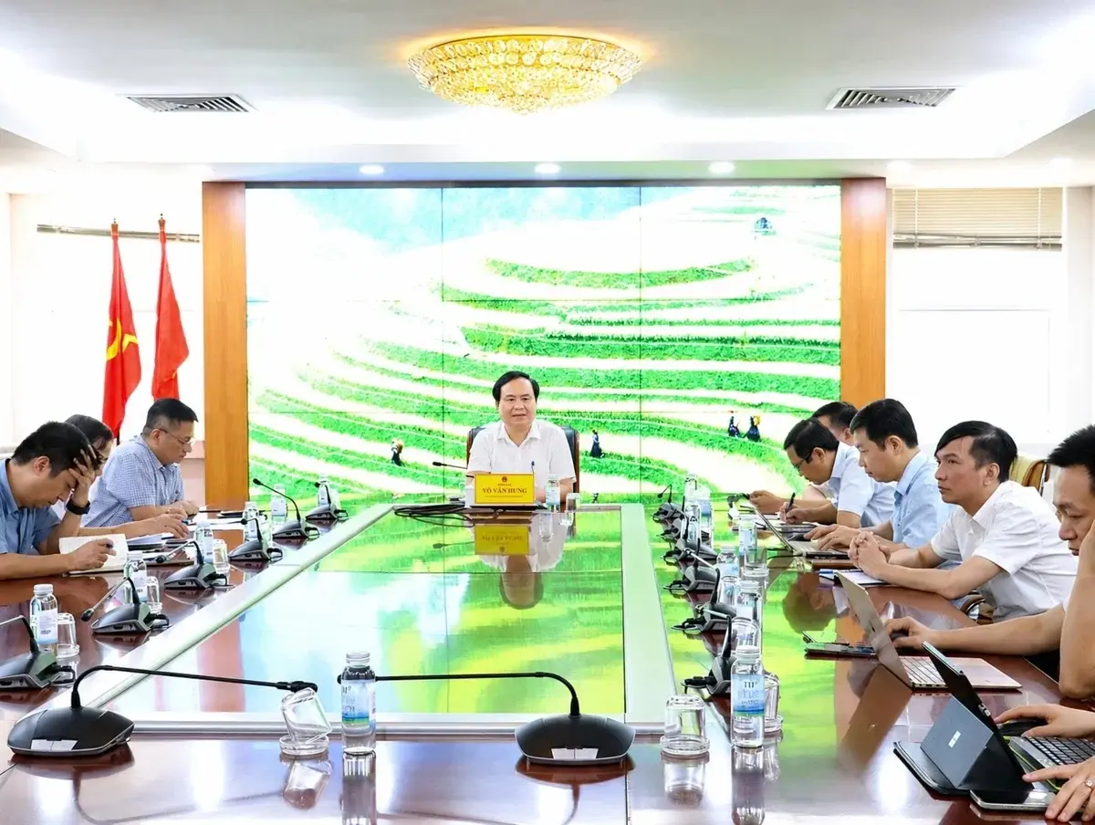 tt-vvh_1783323526.webp