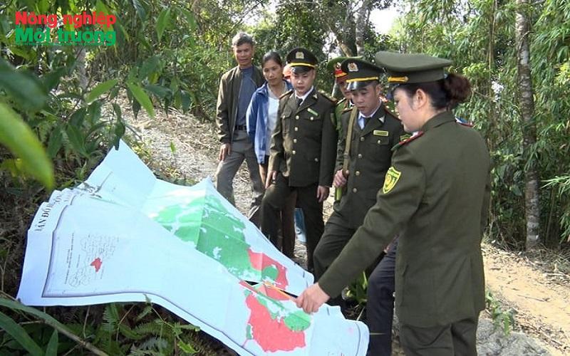 anh-1--kiem-tra-rung_1785866367.jpg