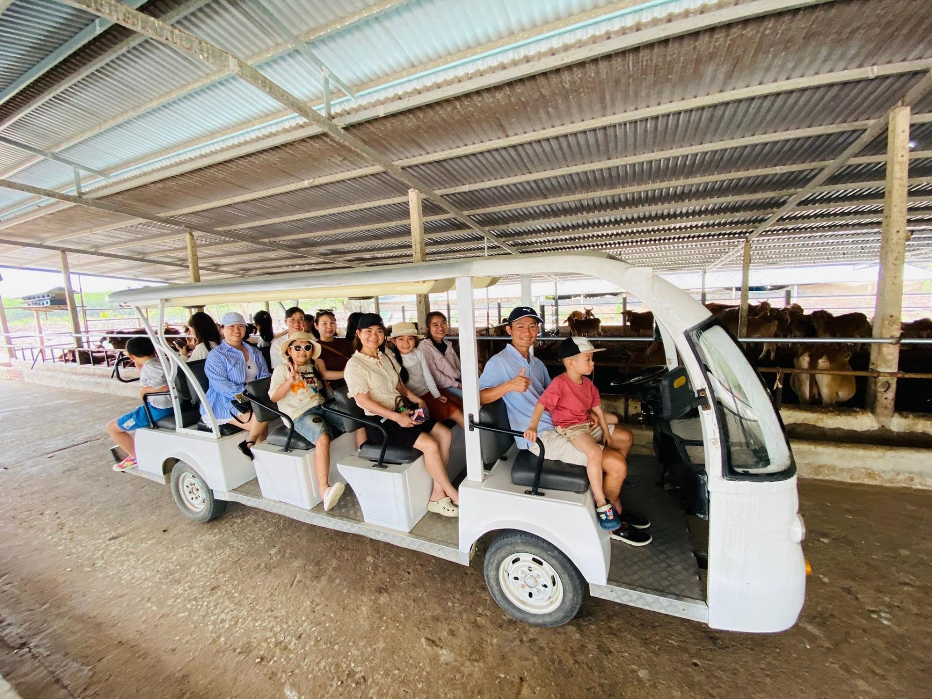 san-viet-farm-3_1785902105.jpg